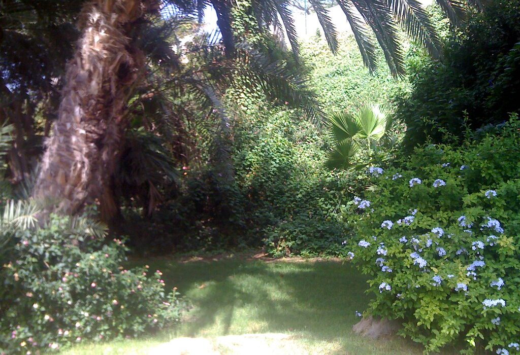 landscaping en Puerto Rico