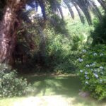 landscaping en Puerto Rico