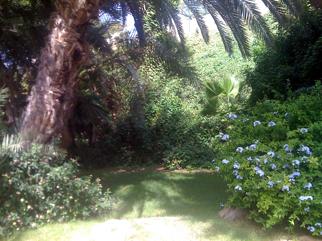 landscaping en Puerto Rico